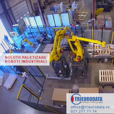 Paletizarea cu roboti industriali 1 robind paletizare